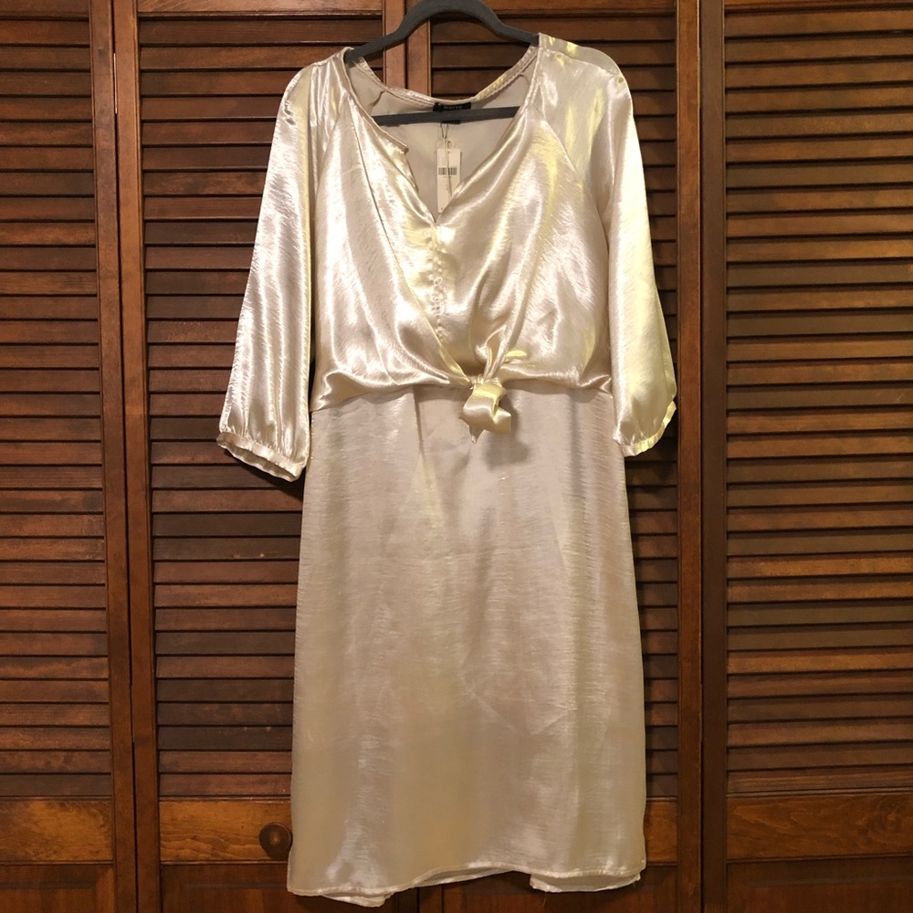 Maeve by Anthropologie Metallic tie front dress
